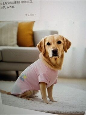 Peanuts Pink & White Dog Tee with Embroidered Design